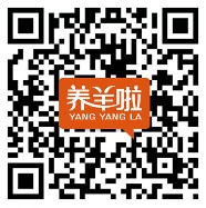 养羊啦生活关注微信PK颜值抽奖送1-10元微信红包奖励